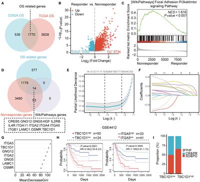 Novel prognostic biomarker TBC1D1 is associated with immunotherapy resistance in gliomas